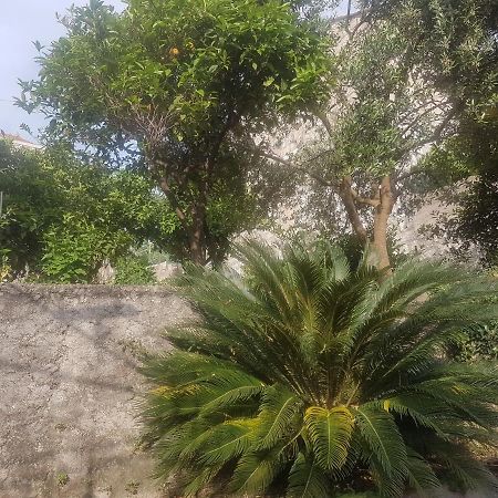 Apartment Saul Cavtat Exterior foto